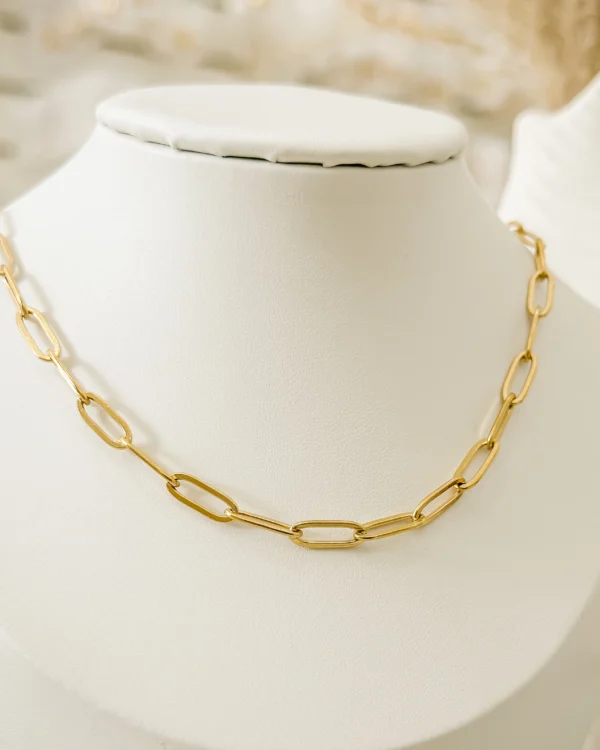 196ca7ebeae7e995a2d9cdb69cce92fc_photo-1.webp Big Clip