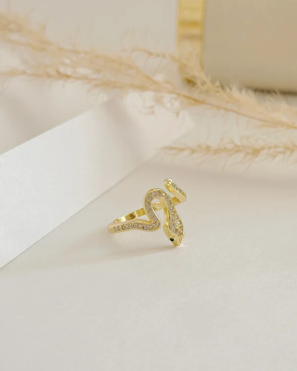 44ecfbb54b542726623d0a5cdcf2ba40_photo-1.webp Snake Anillo