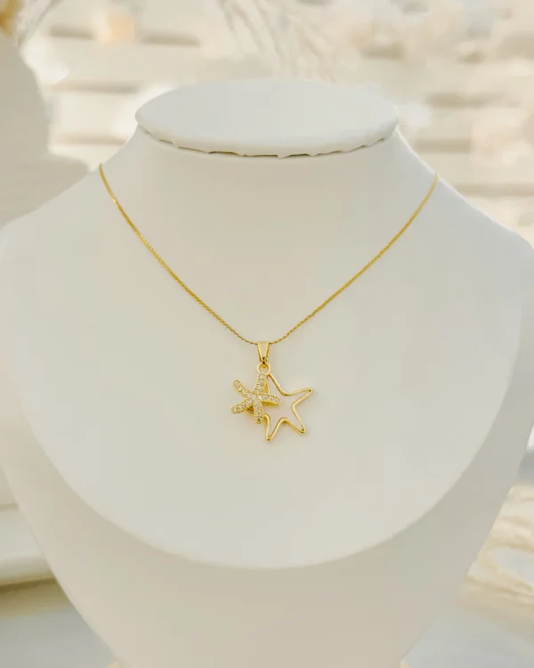 4b56156a1cd3ce42085675f3fb7ac563_photo.webp Dual Star