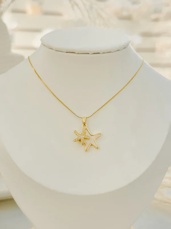 4b56156a1cd3ce42085675f3fb7ac563_photo.webp Dual Star