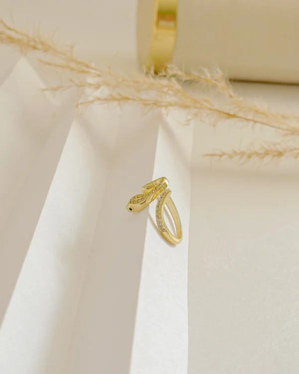 4f8ec3b4fc17457c5d6b83dd05e80b69_photo-1.webp Snake Anillo