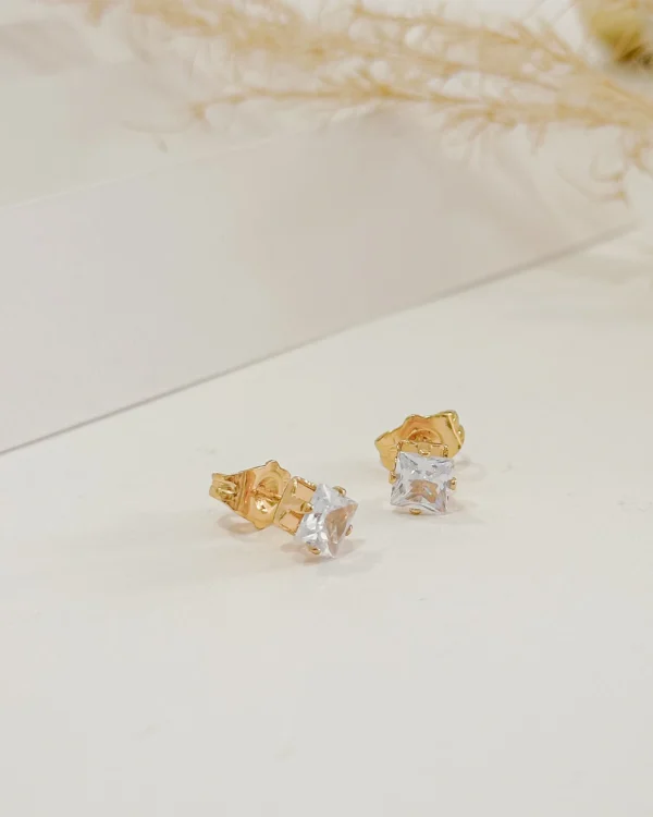 50efc336df1ceb3a1e19e21bc206b8e7_photo-1.webp Topo Classic Clean