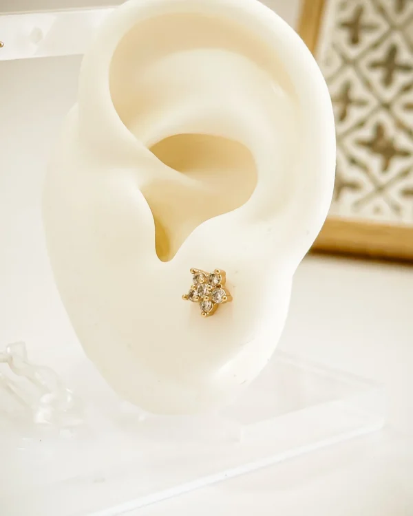 52cd63857d50d972cb4ca036bd6731d4_photo-1.webp Top Star