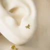 Mini Anax
