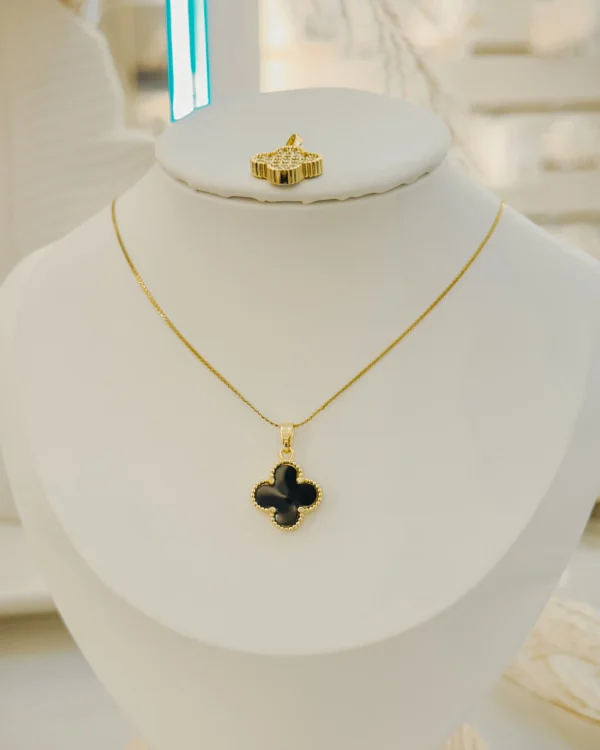 6e233087591d0efcd4fe9f313e35b168_photo.webp Clover Bicolor