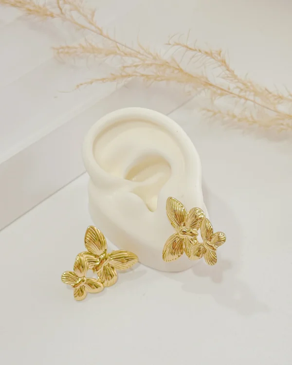 795d7b3f1bf6d85bc799e46777797ab7_photo-1.webp Armony