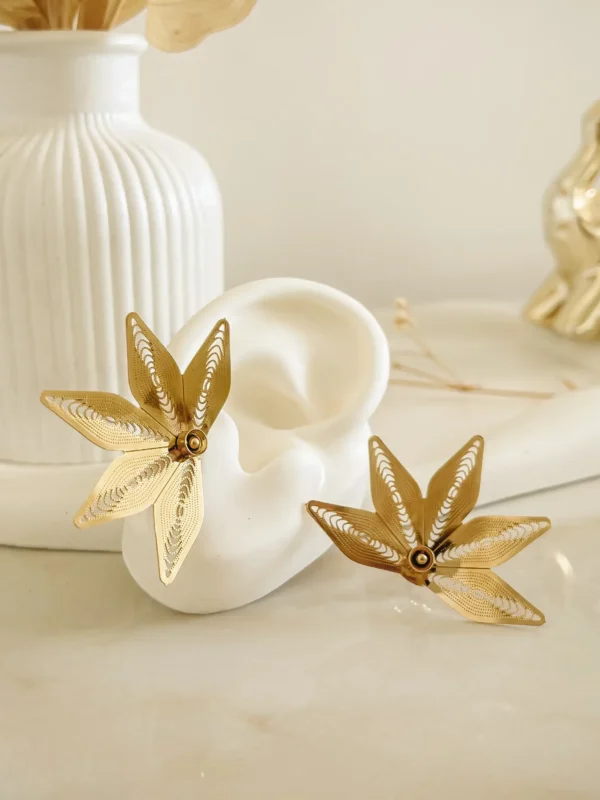 8f2ff660dbd2cfd4c90ef7dc9bd49df2_photo-1.webp Maxi Salli