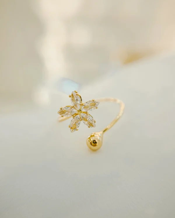 9b159d6e42e2634e03ba7083f4382ff2_photo.webp undefined