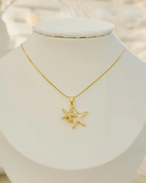 a538f9697eb6d788f2f2a016aa306b3c_photo.webp Dual Star