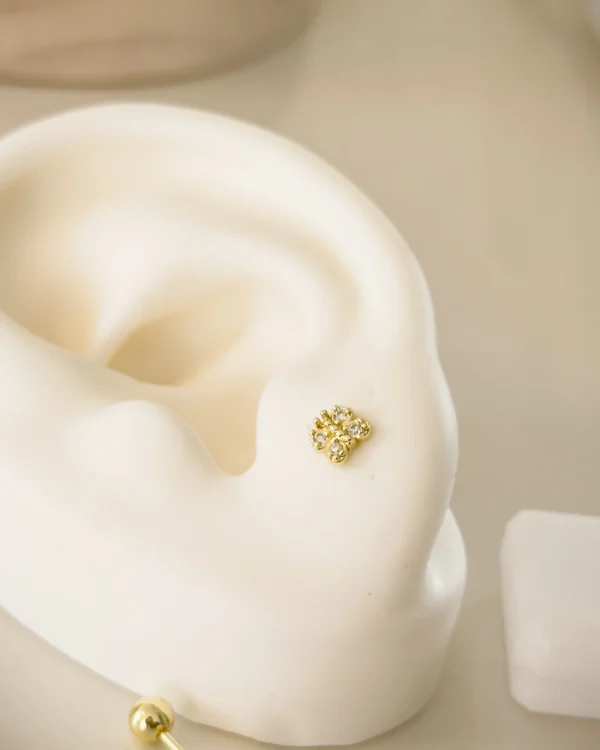 bd19d61a97dbb6b23e10ad351161b433_photo-1.webp Mini Zoe Plus