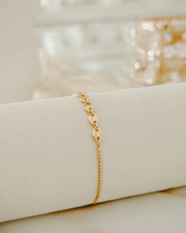 c312092d9af604b7271058bfc42fb696_photo.webp Plus Gucci