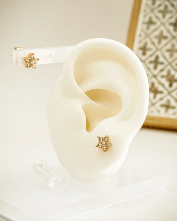 c64d0ac378ac0a9d6cfc2a24b569317b_photo-1.webp Top Star