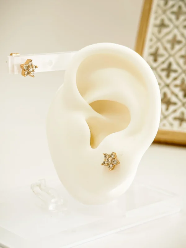 c64d0ac378ac0a9d6cfc2a24b569317b_photo-1.webp Top Star