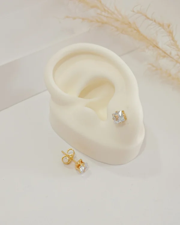 eb9a3181a760d05381270e52d7f36c41_photo-1.webp Topo Classic Clean