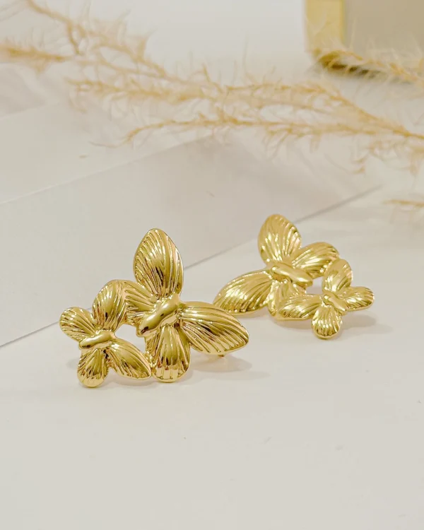 f2f79fcc936eb38ca72f8c94984b28a6_photo-1.webp Armony