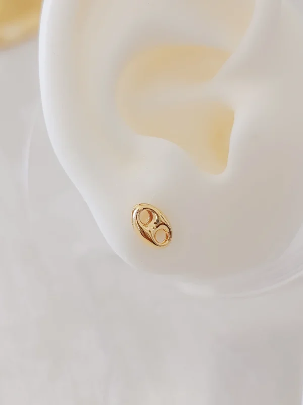 1000079313_optimized Midi Gucci