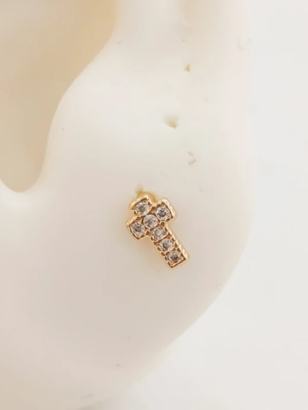 1000138195_optimized Mini Cruz Circon