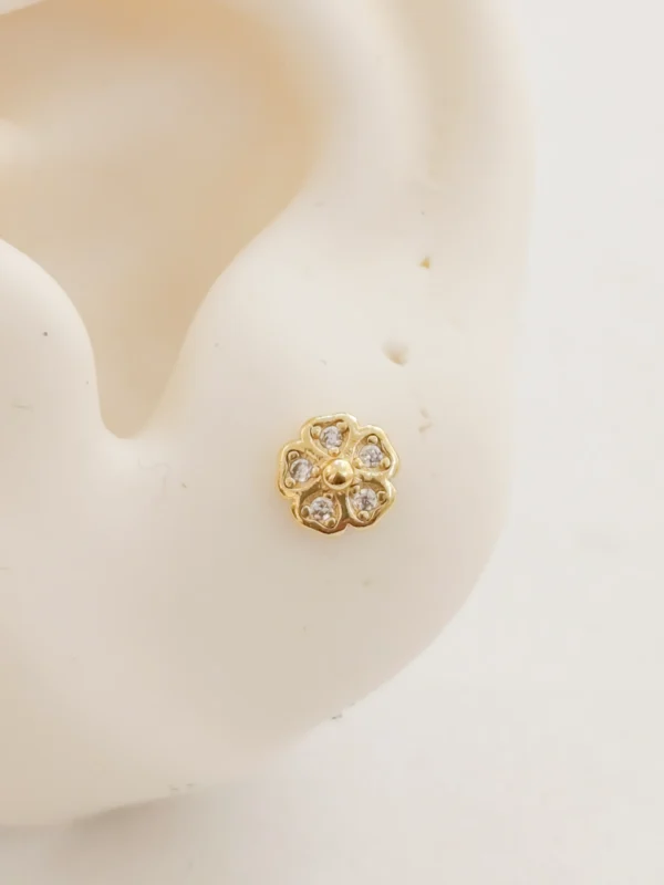 1000138220_optimized Mini Flower Plus